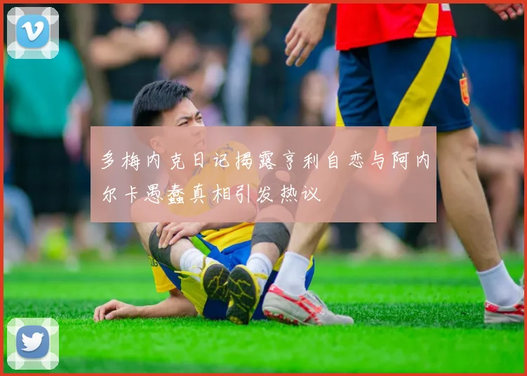 多梅内克日记揭露亨利自恋与阿内尔卡愚蠢真相引发热议